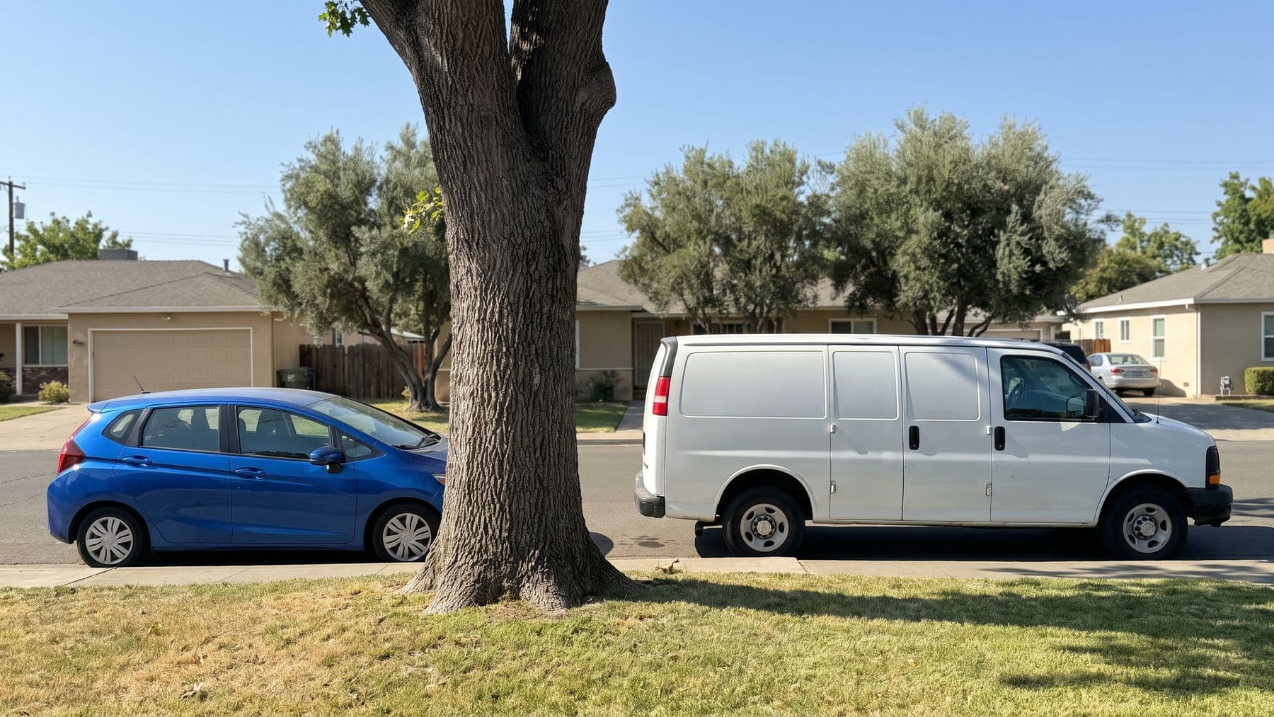 Illustration: a small blue car and a plain white cargo van parked at the curb of a quiet Sacramento street, an oak trunk between them.